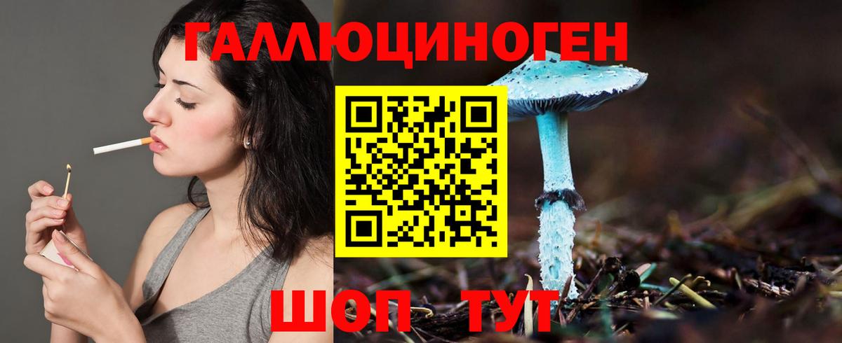 Саранск  Псилоцибиновые грибы мухоморы  Вход с VPN  Псилоцибиновые грибы Psilocybe 