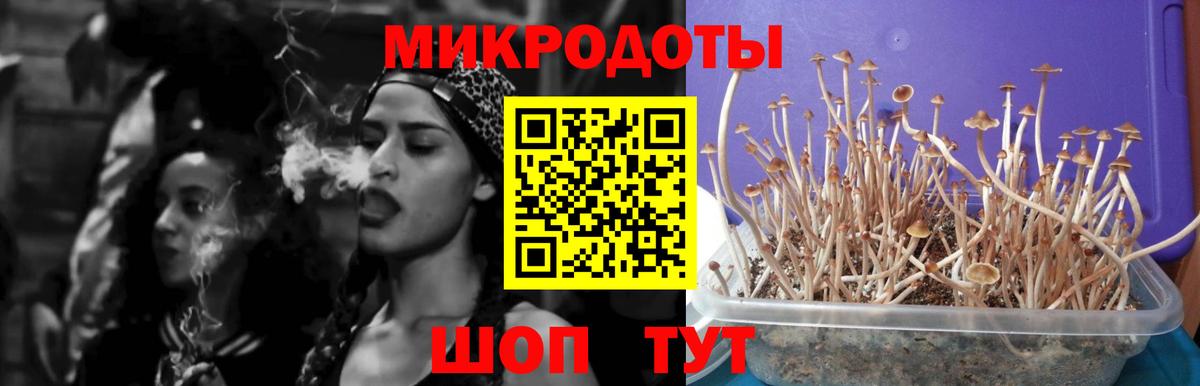 Галлюциногенные грибы мицелий Саранск